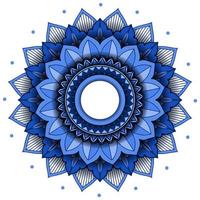 Mandala pattern design on white background vector