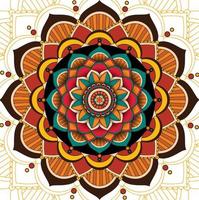 Mandala pattern design on white background vector