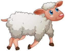 A cute sheep on white background vector