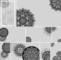 Beautiful mandala design background vector