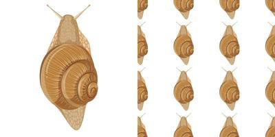 Snail isolated on white background and seamless vector