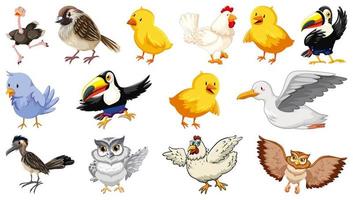 Set of different birds cartoon style isolated on white background vector