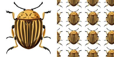 Colorado beetle insect and seamless background vector