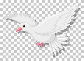 White pigeon flying isolated on transparent background vector