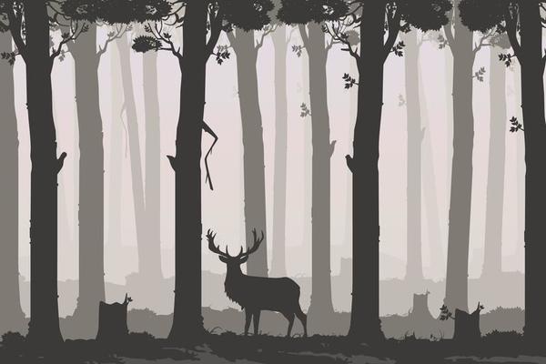 Horizontal landscappe with deciduous forest and deer