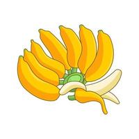 Cartoon banana bunch and peeled banana vector