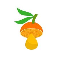 mitad naranja con gota vector