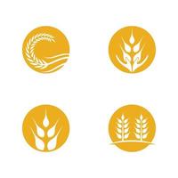 Wheat Icon Set vector