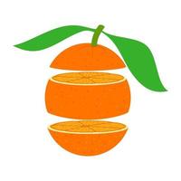 Orange Cross Section Slices vector