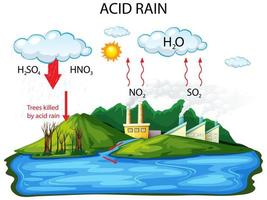 Diagrama que muestra la vía de la lluvia ácida sobre fondo blanco. vector