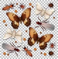 Set of different insects on transparent background vector