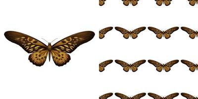 A butterfly isolated on white background and butterfly seamless vector