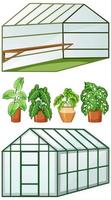 Close and open view of empty greenhouse with many plants in pots vector