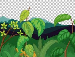 Nature outdoor landscape transparent background vector