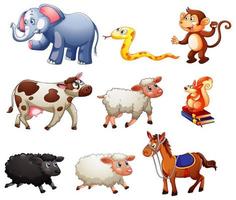 Set of different animals isolated on white background vector