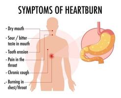 Symptoms of heartburn information infographic vector