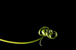 Mustache gourd on black background photo