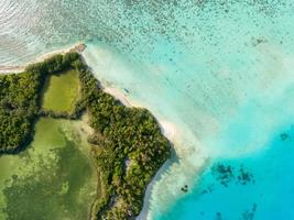 Aerial view of a green island photo