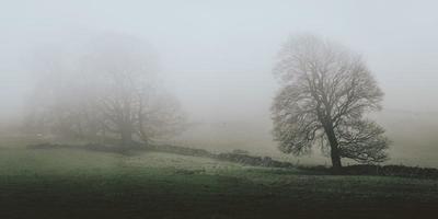 A hilly countryside covered in fog photo