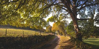 Dirt road in the countryside photo