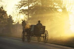 Silhouette of a man riding on a carriage on concrete road photo