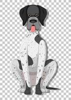 German Shorthaired Pointer in sitting position vector