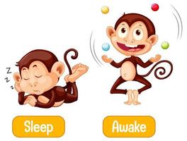 Opposite monkeys with sleep and awake text vector