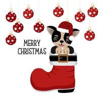 lindo chihuahua en santa bota con adornos navideños vector