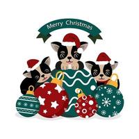 lindos chihuahuas con gorro de santa con adornos navideños vector