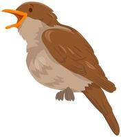 Nightingale bird animal cartoon character vector