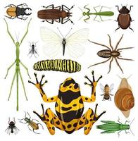 Set of different insects on white background vector