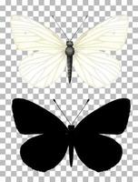 Butterfly and its silhouette on transparent background vector