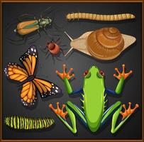 conjunto de diferentes insectos sobre fondo negro vector