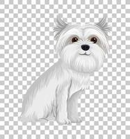 White Australian Terrier in sitting position cartoon character isolated on transparent background