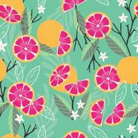 Fruit seamless pattern, grapefruit with branches vector