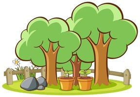 Isolated picture of trees in the park vector