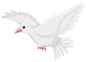 White baird flyting on white background vector