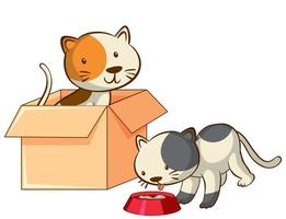 Isolated picture of two kittens vector