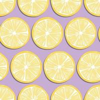 Fruit seamless pattern, lemon slices with shadow vector