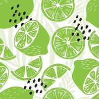 Lime with tropical leaves on white background. vector