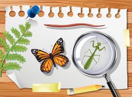 Butterfly with mantis and magnifying glass on table close up vector