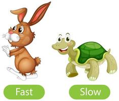 Opposite adjective words with fast and slow vector