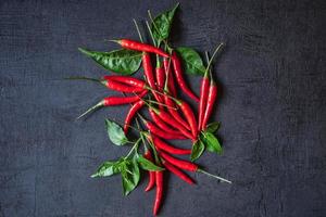Red chili on black background photo