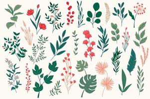 Botanical elements, hand drawn graphic pack. vector