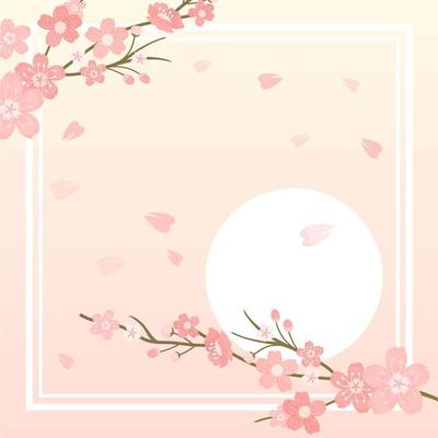 Pink Floral Background with cherry blossom and White Moon