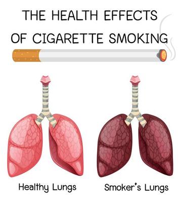 Poster on health effects of cigarette smoking