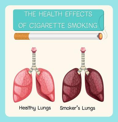 Poster on health effects of cigarette smoking