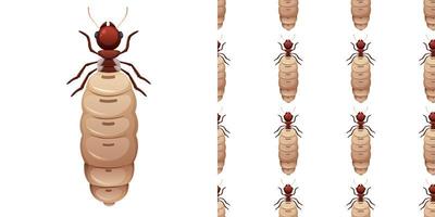 Termite insects isolated on white background and seamless vector