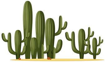 Different shapes of cactus in a group vector