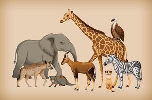 Group of wild animal on background vector